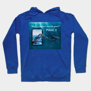 Dolphin riddle 3d Hoodie